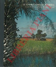 America - iaggi - CARR - Le Everglades in Florida.