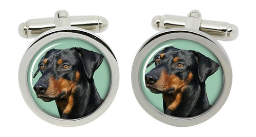 Tedesco pinscher gemelli - gemelli, in