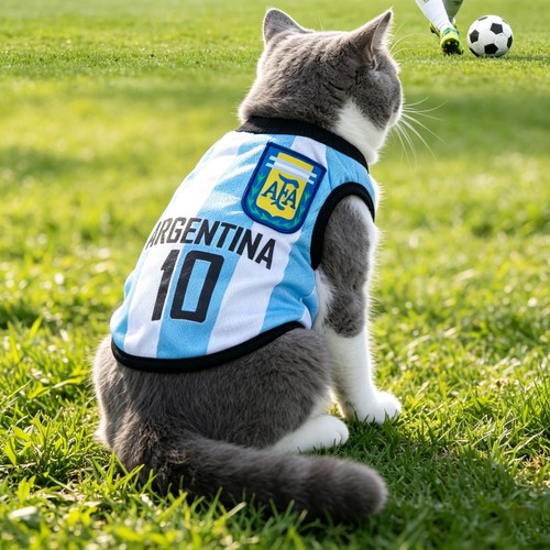 Maglia cane vestiti animali