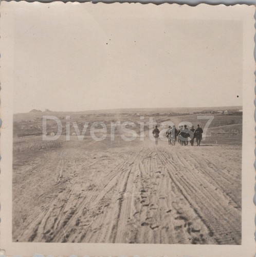 Foto nella raccolta - nella,