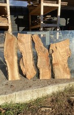 Tavole di legno di Ulivo 4