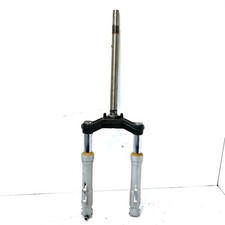 FORCELLA MALAGUTI PHANTOM F12 (PIASTRA+STELI)