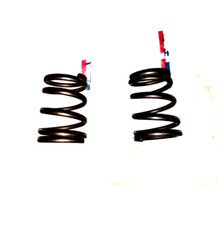 Coppia Molle Inferiori