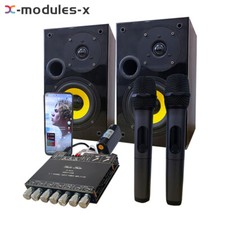 ZK-AM100 KTV Microfono Audio