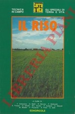 Orticoltura - AA - Il riso.