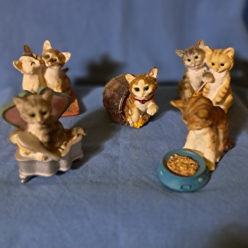 Deliziosi gattini resina - gattini, in