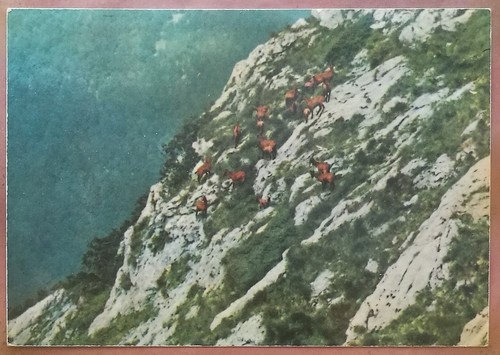 Parco nazionale abruzzo - parco,