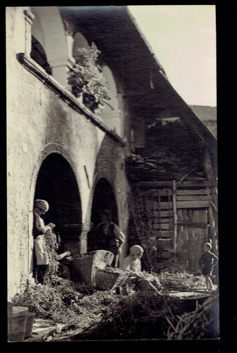 Ovaro carnia casa - ovaro, (udine).
