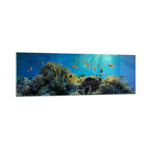 Quadro vetro 160x50cm - quadro,