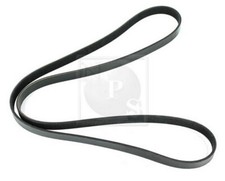 Cinghia Poly-V PER Ford Fusion