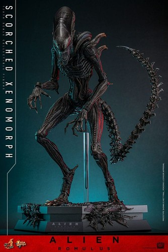 Hot toys alien romulus - 1/6,