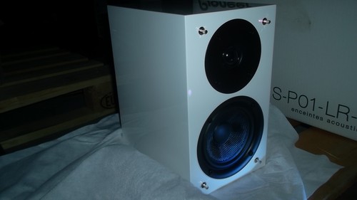 Pioneer p01 hifi - s-p01-lr, 2-wege