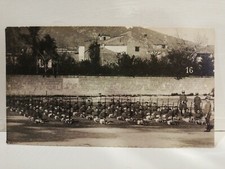 Regio esercito italiano anni 20 esercitazioni militari fucile carcano foto