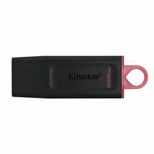 Memoria USB Kingston DTX/256GB