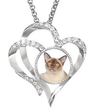Burmese Cat Pet Silver Colour