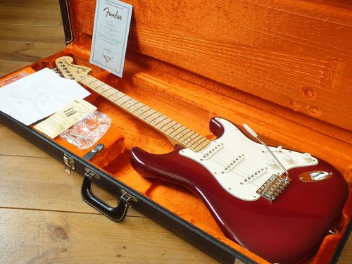 Fender stratocaster robin - **,