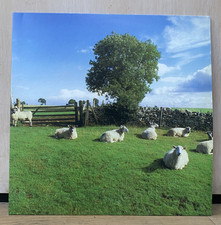 THE KLF - Chill Out - Clear