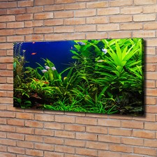 Tulup Dipinto Su Tela Pittura