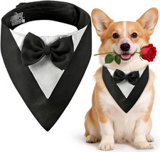 Smoking per Cani Con Papillon