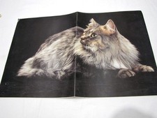 Poster doppia pagina di