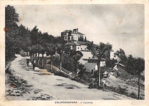B1865 calamandrana il - b1865),