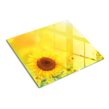 Copri Piano Cottura Fornelli