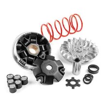 VARIATORE MALOSSI 5113161