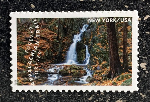 2025usa forever the - forever,