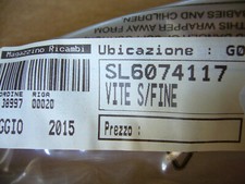 Vite senza fine motosega SOLO come in foto - SL6074117 - fornita 1