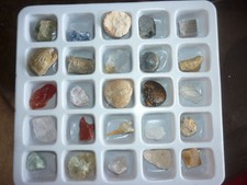 FOSSIL MINERAL COLLECTION SET