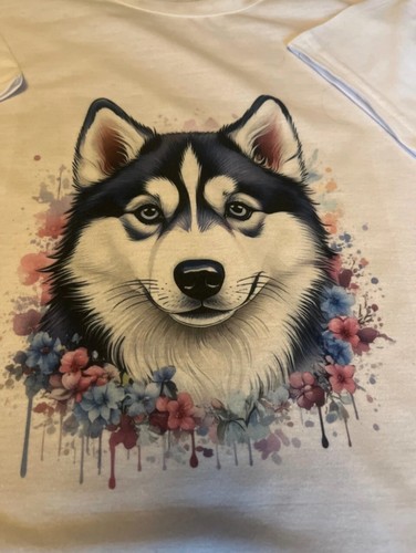 Siberian husky colourful white - husky,