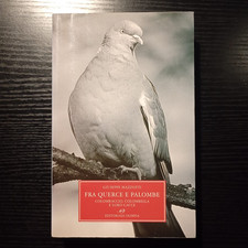 Giuseppe Mazzotti, Fra querce