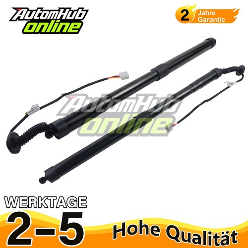 Molle gas portellone - a,