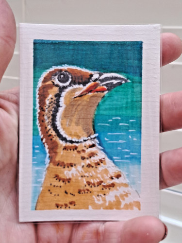 Aceo originale non - originale,, una