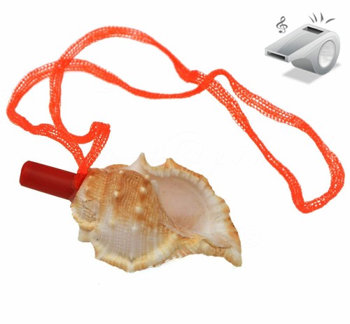 Fischietto conchiglia naturale - fischietto,