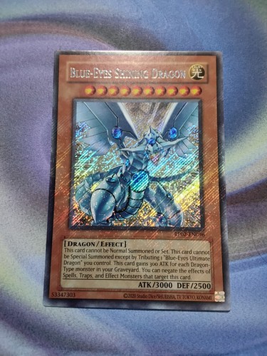 Blue eyes shining - shining, dragon