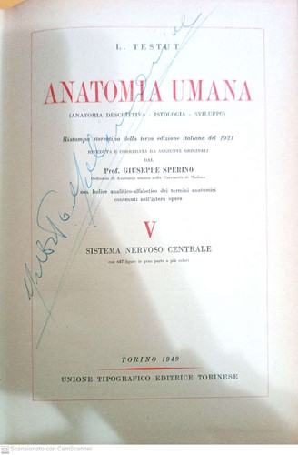 Anatomia umana vol sistema - anatomia, v