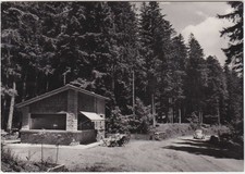 FORESTA DI CAMPIGNA - FORLI' -