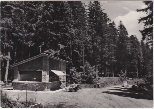 Foresta campigna forli - foresta,