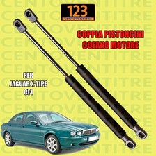 Coppia 2 Molle a Gas