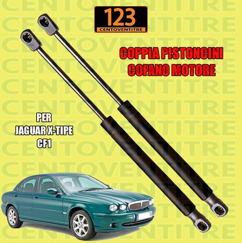 Coppia molle gas - molle, a