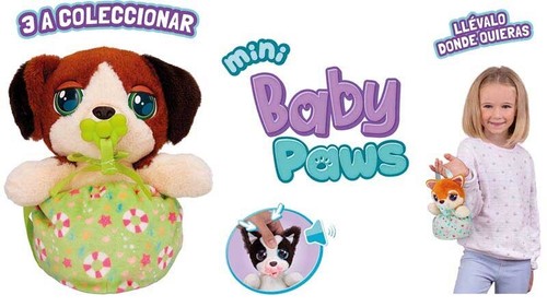 Baby paws mini - paws, cuccioli,border
