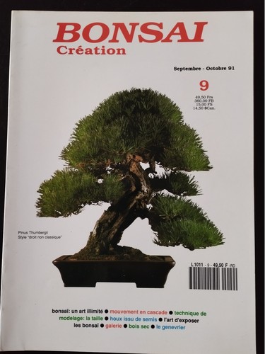 Bonsai création du - bonsai,