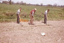 35mm Slide - Three Farm