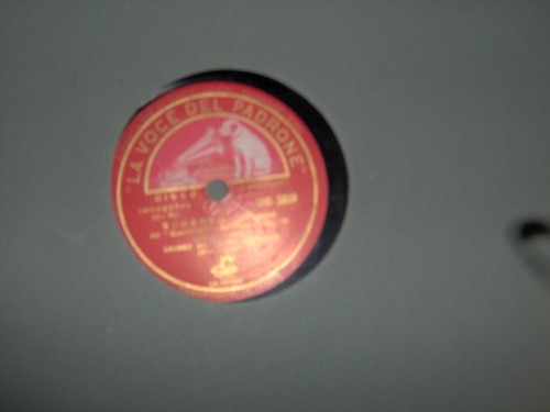 30cm toscanini moto - 78,