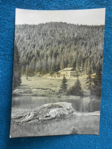 Madonna campiglio capanna - di,