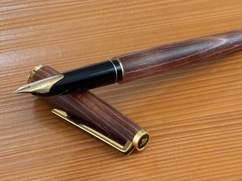 Penna stilografica pilot - stilografica,