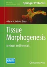 Tissue Morphogenesis: Methods