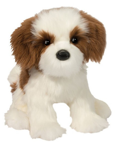 Farren shih tzu cane - farren,