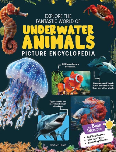 Explore fantastic world - explore, of